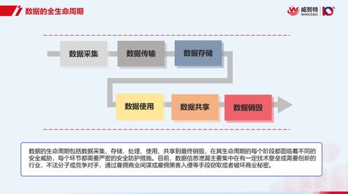 數據處理安全無憂 從零基礎到精通的全生命周期防護秘籍