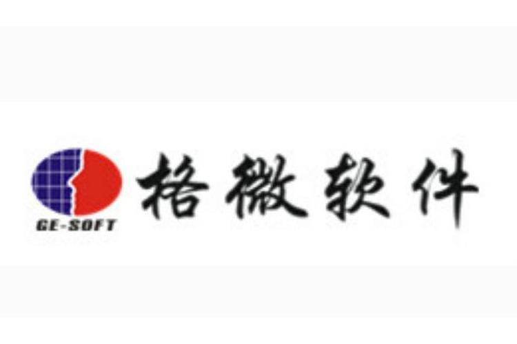 沈陽格微軟件 深耕行業，以技術驅動數字化轉型